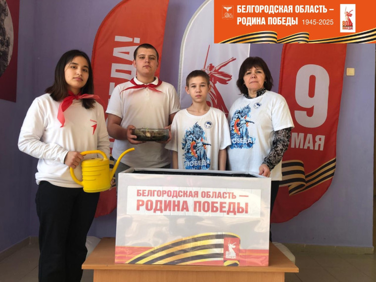 АКЦИЯ «ЦВЕТЫ ПОБЕДЫ».